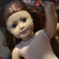 What to Do if Your Dolls Have Cockroaches